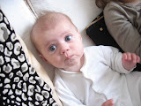 photo 154.jpg