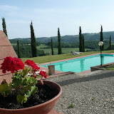 Geraniums and the pool at the villa