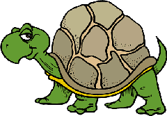 turtle1