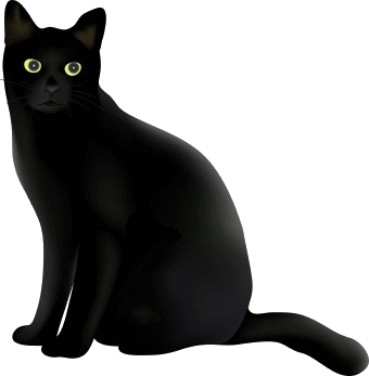 [black cat[2].gif]