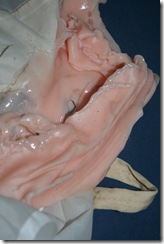 IMG_3004 IMG_3004