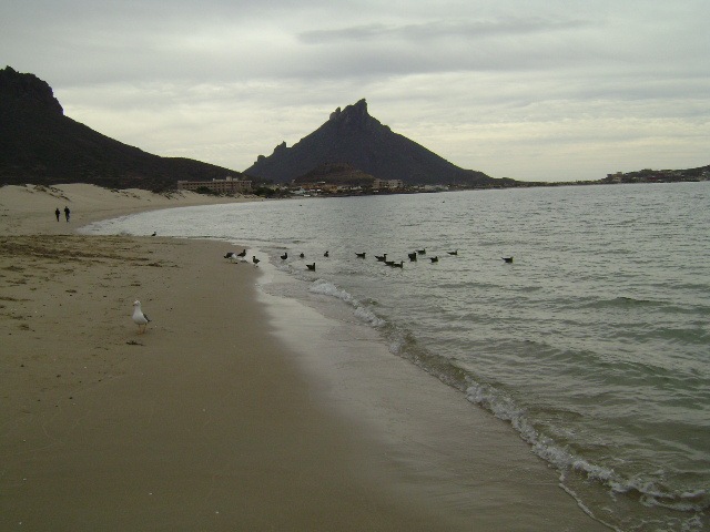 [DSC005572.jpg]