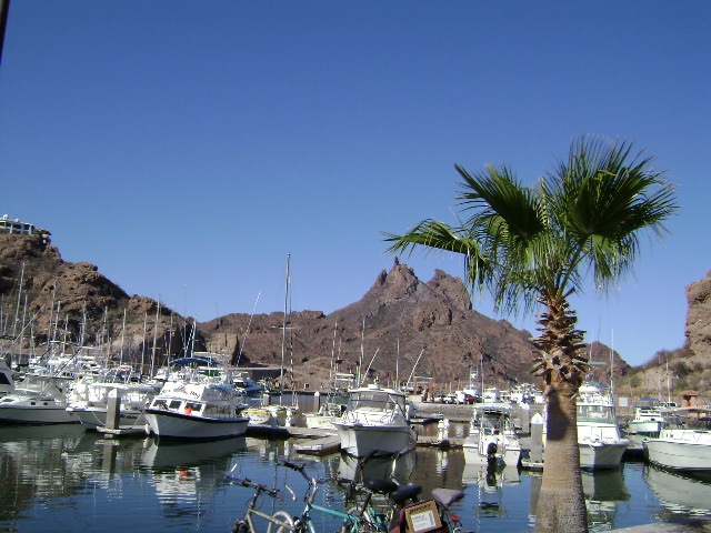 [DSC00609[7].jpg]