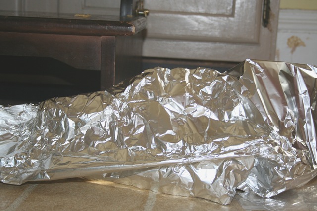 [Picture 2313[8].jpg]