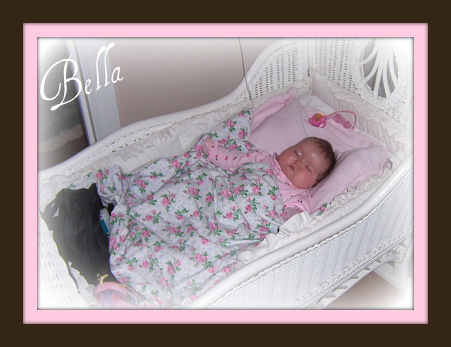 [Bella1[3].png]