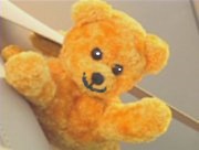 [Tiddy Bear[2].jpg]