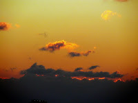 IMG_0025.jpg