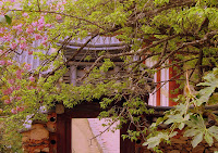 boseong042608 097.jpg