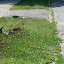 Where the fire hydrant was on Seward Street