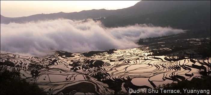 Yuanyang Rice Terrace