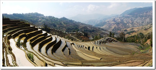 Yuanyang Rice Terrace