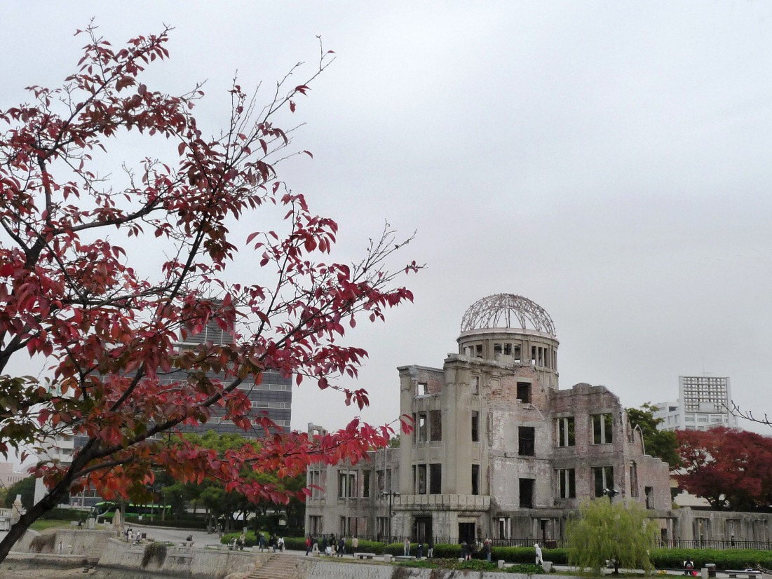 [AP1130086[12].jpg]