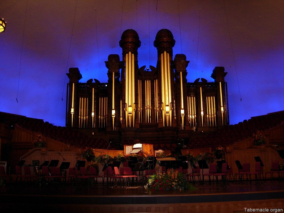 [DSCN5857[1].jpg]