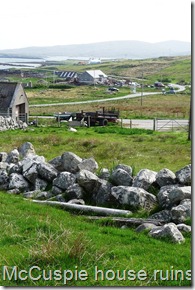 P1140661