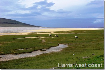 Harris west coast