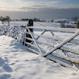 2010 Winter Snow