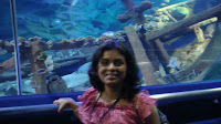 DSC00606.JPG