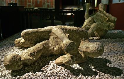 volcano victim