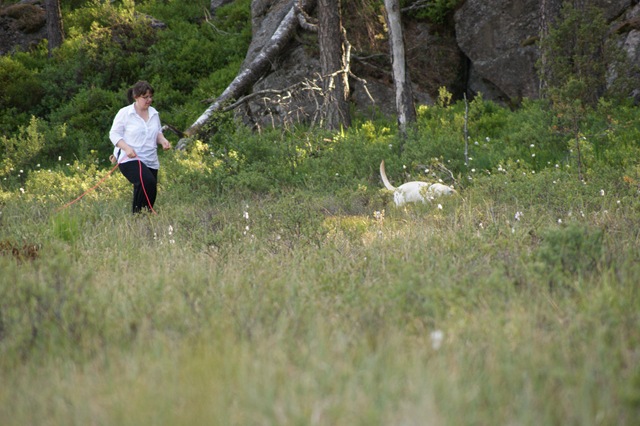 [DSC06945[2].jpg]