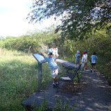 Picture 003.jpg