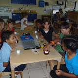 Picture 019.jpg
