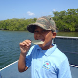 Picture 040.jpg