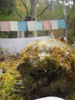 PA200301.JPG