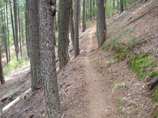 Boggs Mountain State Forest Leor Pantilat's Adventures