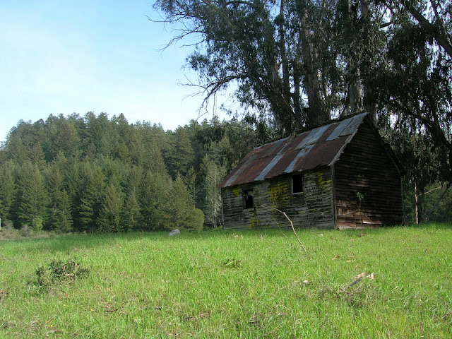 Always photogenic rustic shed on the Tarwater Trail
