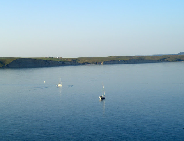 Drakes Bay