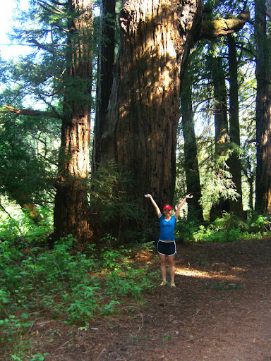 Serena and a large redwood