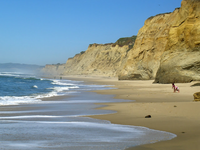 Sea Cliffs