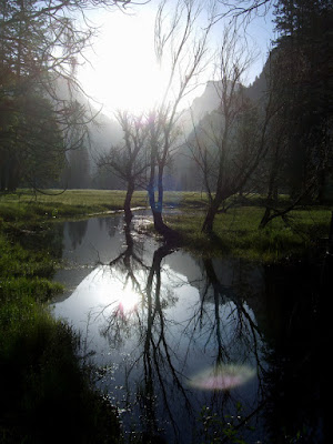 Meadows
