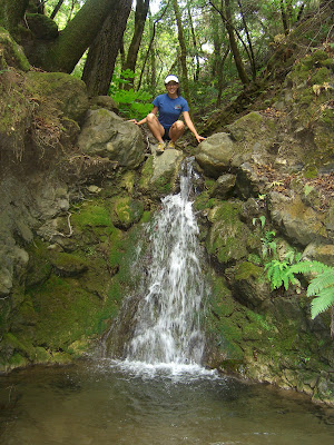 Another waterfall shot