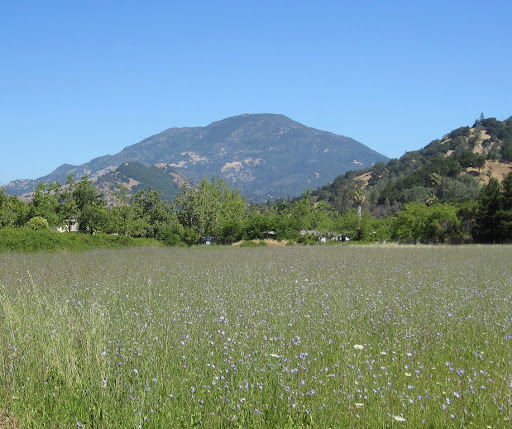 Mount Saint Helena from Calistoga