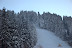 DSC_0166.jpg