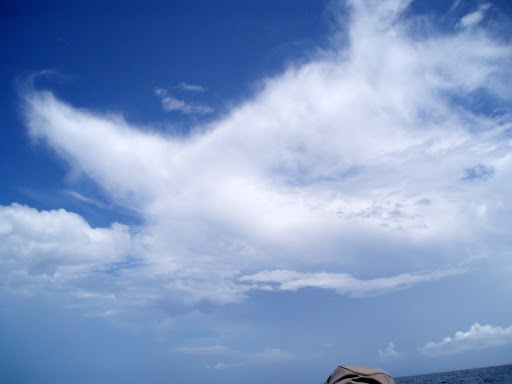 День без Укропа