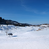fotos nevada