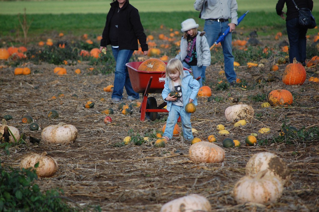[Fall 2010 650[4].jpg]