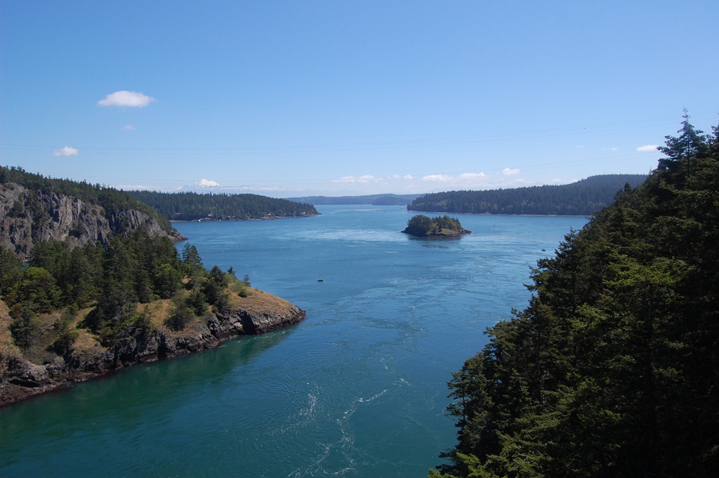 [DSC_0236[4].jpg]