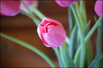 5-1-09 002