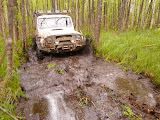 P1080737.JPG