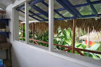 tarzan house - interni