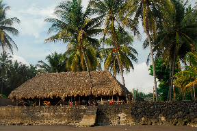 Surf House El Zonte - vista spiaggia