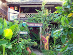 Ingresso itacarè Surf House