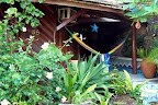 Vista Giardino Surf House