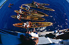 Dhoni Maldiviani