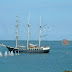 DSCF0566.JPG, 2008 Guernsey