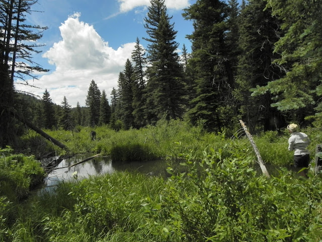 DSCN1099.jpg
