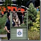 Dog Section - BikeWise 2010